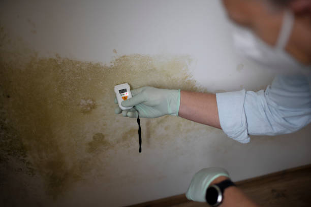 Best Mold Removal Process  in Salem, NC